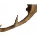 Brille  BKL-111S/1E14 (24-492)