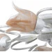 Brille  BKL-169S/E1-L5-393