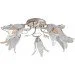 Brille  BKL-189S/E1-L5-405