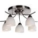Brille  BKL-511S/E1S-L5-270