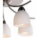 Brille  BKL-511S/E1S-L5-270