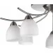 Brille  BKL-511S/E1S-L5-271