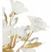 Brille  BKL-524S/1E1G (24-315)