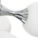 Brille  BL-112C/E2-24-263