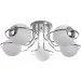 Brille  BL-295S/E2C-22-412