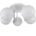 Brille  BL-315/E2W-22-481