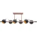 Brille  BL-477C/E1B (23-061)