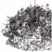 Brille  BL-521S/E2B (L44-006)