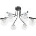 Brille  BL-583S/GCH+ G-23-742