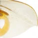 Brille  BL-660S/GCH/Amb (24-712)