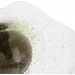 Brille  BL-660S/GCH/Sk (24-713)