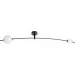Brille  BL-675C/GBK-24-938