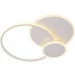 Brille   BL-755/30W WW WH (24-683)