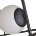 Brille  BL-835/32WB (23-889)