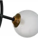 Brille  BL-934S/1G (24-239)