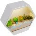  ϳ   BL-993W/10W CW WH LED Brille 27-068