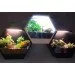  ϳ   BL-993W/10W CW WH LED Brille 27-068