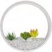  ϳ   BL-994W/12W WH LED Brille 27-070