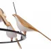 Brille  BL-999S/30G/BK (24-921)