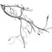 Brille  BR-0083/3 (177752)