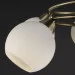 Brille  BR-0223S/E1A (172228)