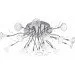 Brille  BR-0304C/2CH (YL196)