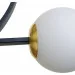 Brille  BR-0644C/E2BK/WH-24-817