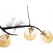 Brille  BR-0650S/E2BK (24-825)