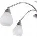 Brille  BR-380S/CH (YL193)