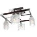 Brille  BR-588S/E1CH+  (L66-019)