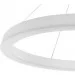  Brille    5  BR-995S/50W WH (23-077)