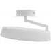 Brille  BR-995W/19W (26-678)