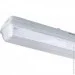 Brille   BS-12/2X36 (111283)