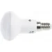   Brille  E14 LED 7W 8 PCS CW R50-PA SMD2835 (32-345)