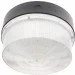     HD-67/250W Brille 154155