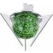 Brille   HDL-BA CHR/GREEN (164008)