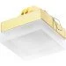 Brille   HDL-DS 17 TECNO-170 SB (163002)