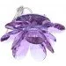Brille   HDL-G117 PURPLE (162236)