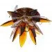 Brille   HDL-G119 BROWN (162244)
