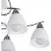 Brille  HTL-161/E1-26-105