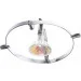 Brille   HTL-81/1L (176262)