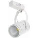 Brille   LED-423/10W NW WH/SL (32-326)