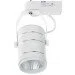 Brille   LED-423/10W NW WH/SL (32-326)