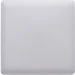 Brille   LED-46R/18W CW (33-211)