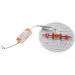 Brille   LED-47R/24W CW (33-205)