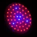   Brille  LED    (L137-004)