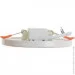  Brille  LED  LED-36R/6W CW (33-188)