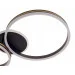 Brille  LEWBL-54C/53BK/G (27-577)