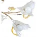 Brille  LK-013S/ (187316)