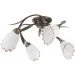 Brille  LK-149S/-187662